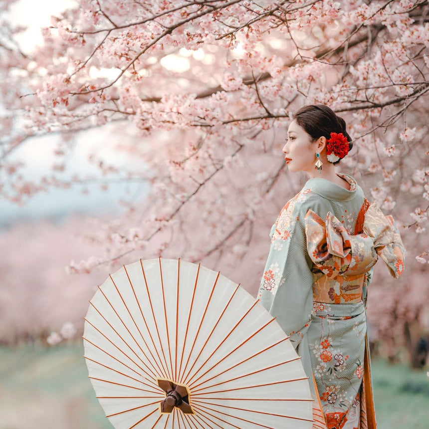 (✿˘艸˘✿) 　桜×着物美人×春の着物コーデ　(✿˘艸˘✿