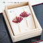 Congratulations - WineRed -