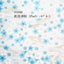 New‼︎ 和心　- Asymmetry -　summer_01