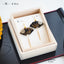 Congratulations - Black -