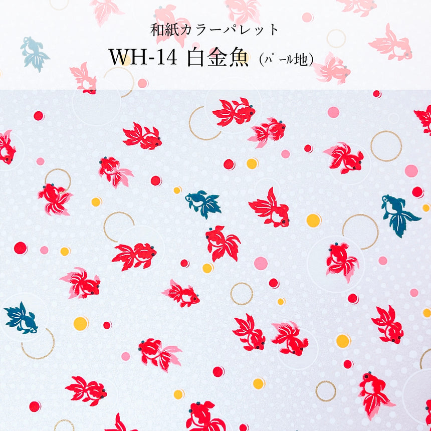 紗　- Saya -　白金魚